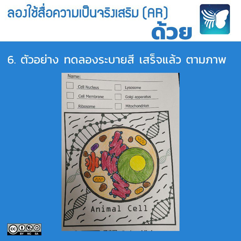 Slide7