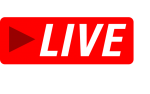 LIVE LIVE